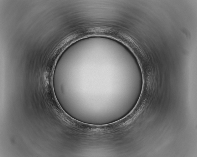 X0000112931017200909141329