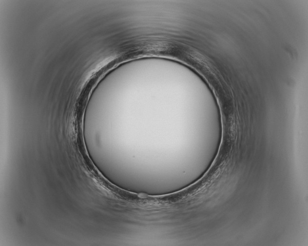 X0000112931018200909141329