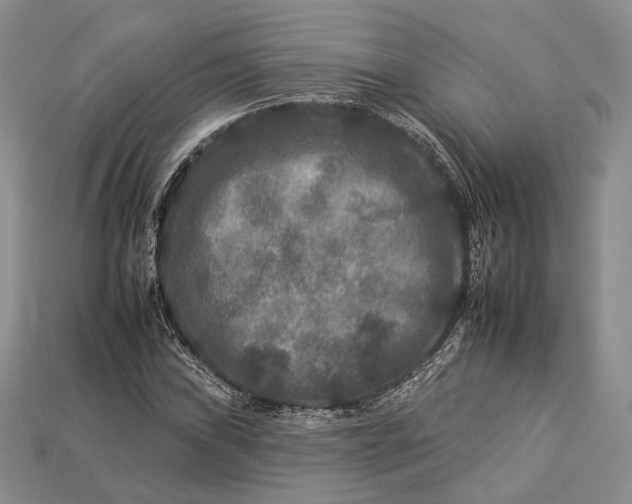 X0000112931019200909141329