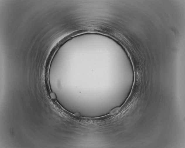 X0000112931020200909141329