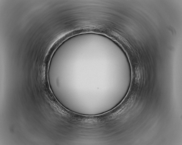 X0000112931021200909141329