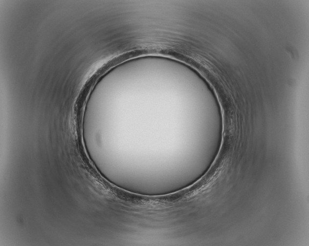 X0000112931022200909141329