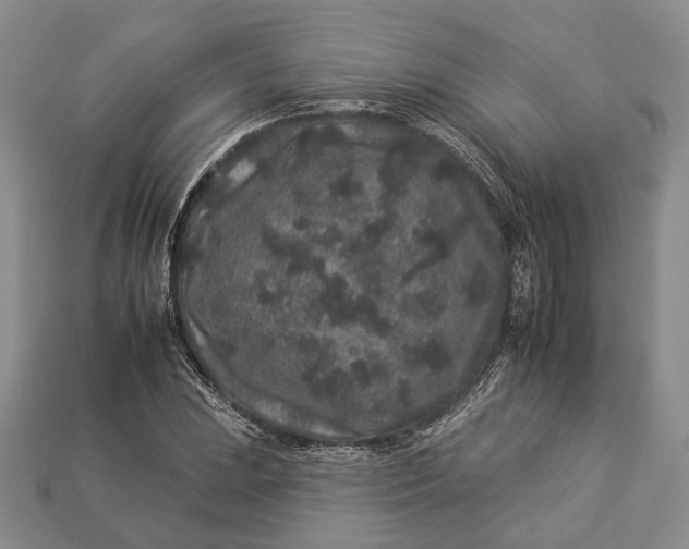 X0000112931023200909141329