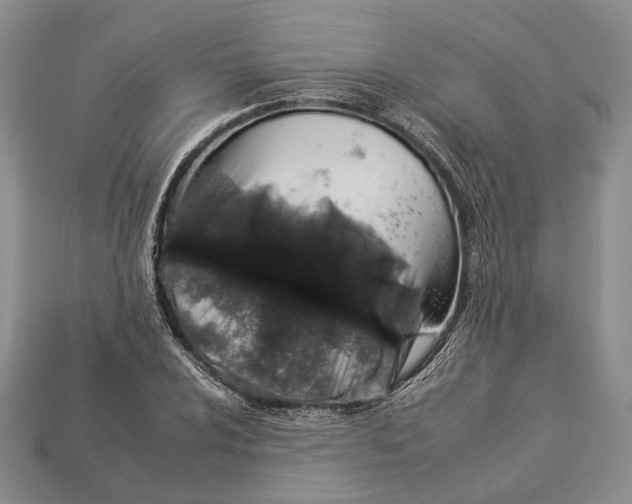 X0000112931024200909141329