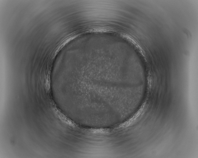 X0000112931025200909141329