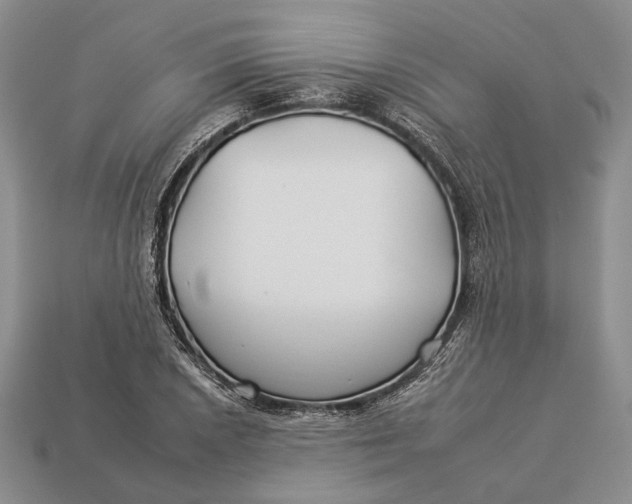 X0000112931026200909141329