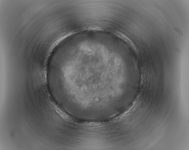 X0000112931027200909141329