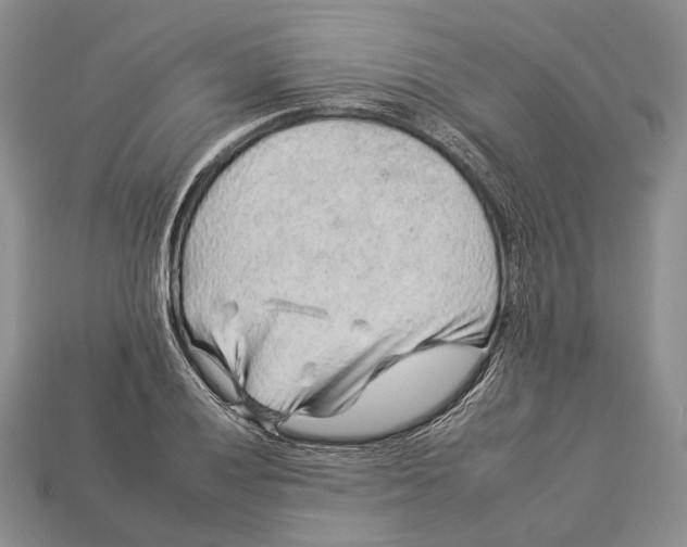 X0000112931028200909141329