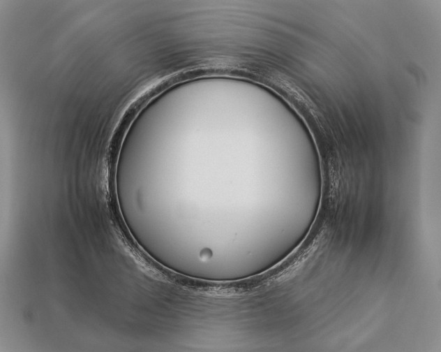 X0000112931029200909141329