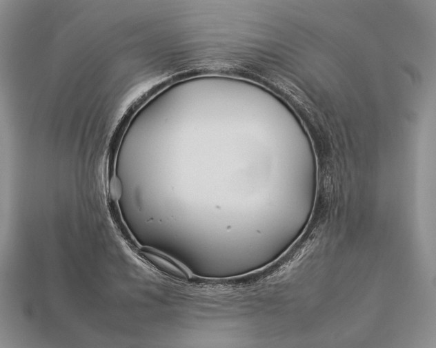 X0000112931030200909141329