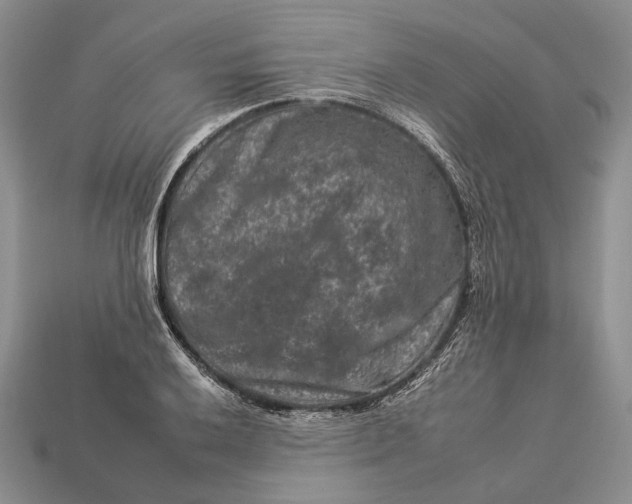 X0000112931032200909141329