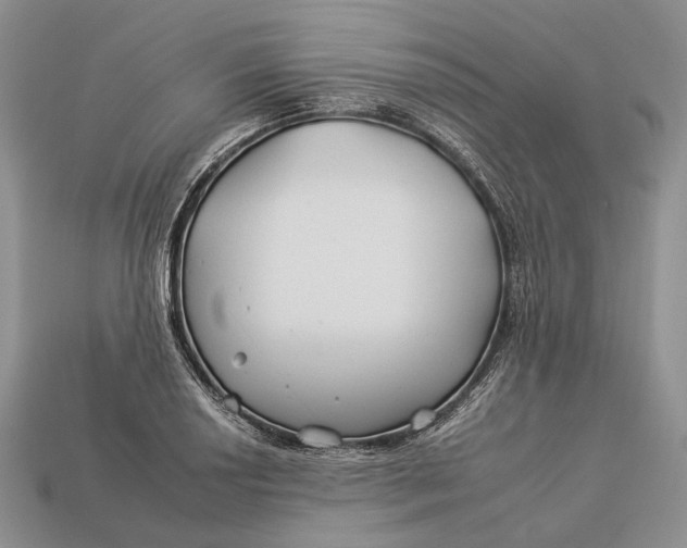 X0000112931034200909141329