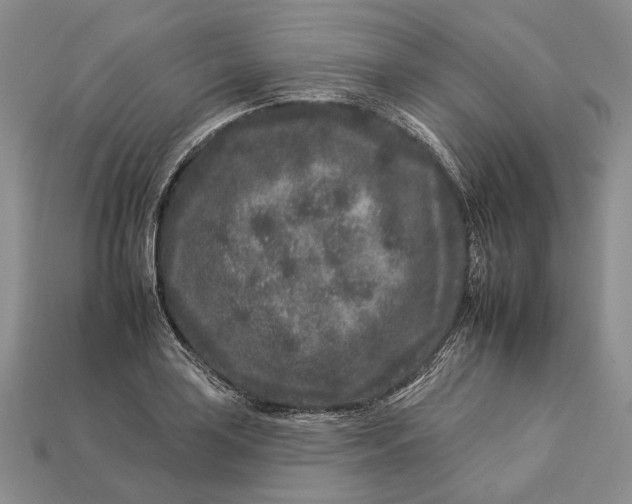 X0000112931035200909141329