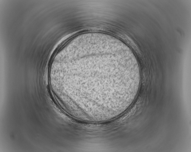 X0000112931036200909141329