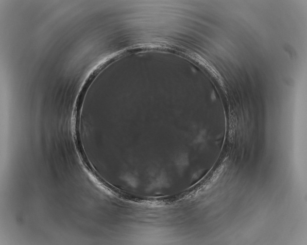 X0000112931037200909141329