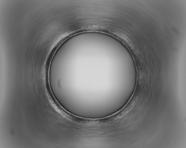 X0000112931038200909141329