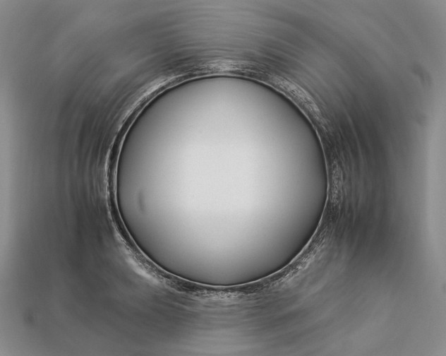 X0000112931039200909141329