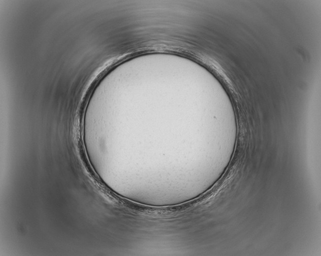 X0000112931040200909141329