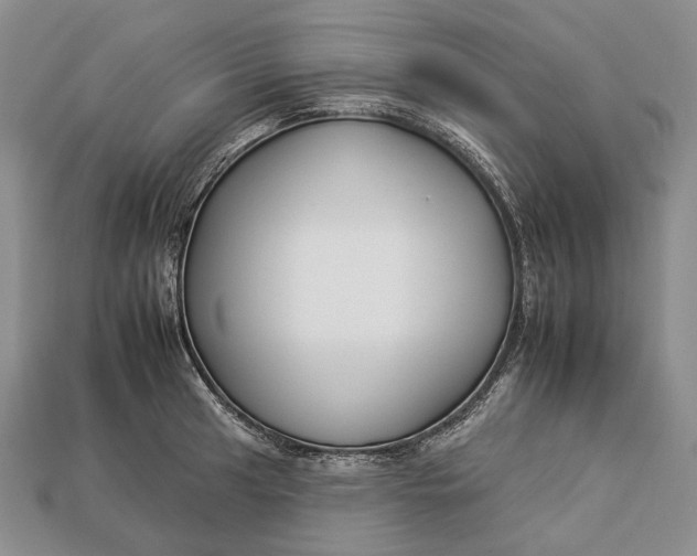 X0000112931041200909141329