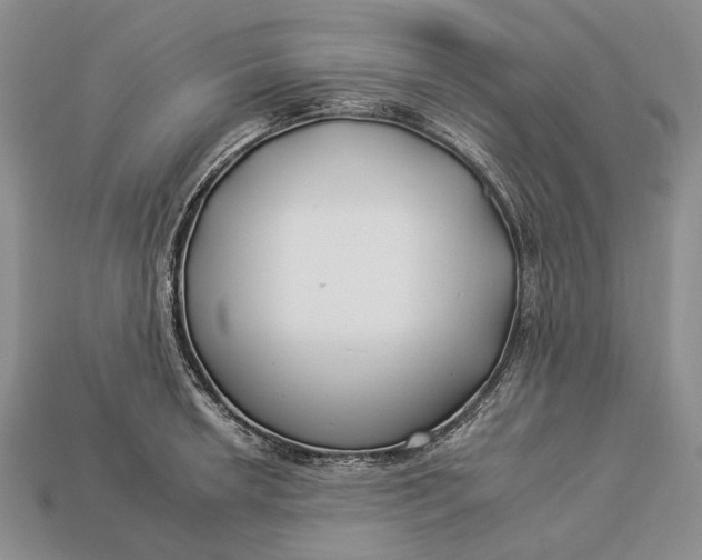 X0000112931042200909141329