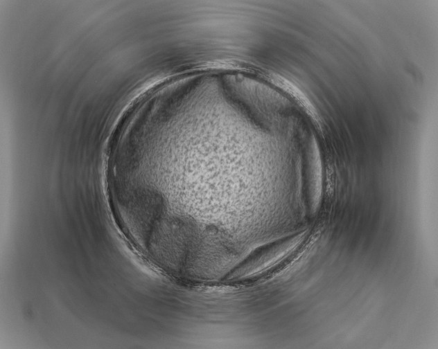 X0000112931043200909141329