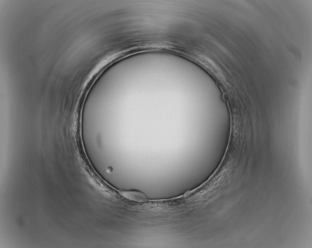 X0000112931044200909141329