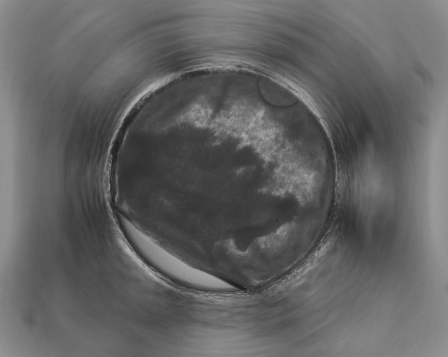 X0000112931045200909141329