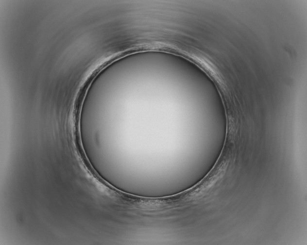 X0000112931046200909141329