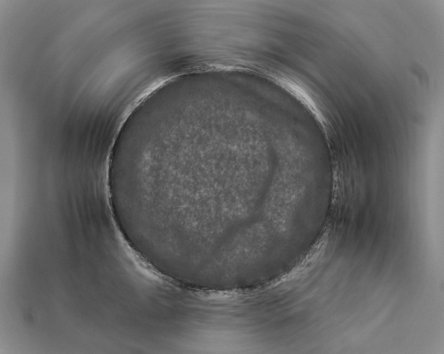 X0000112931047200909141329