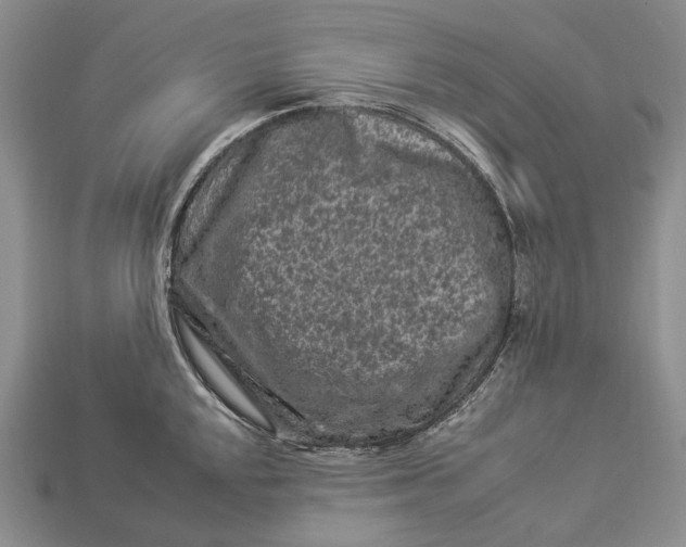 X0000112931048200909141329