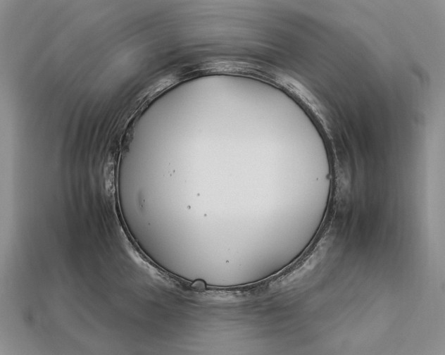 X0000112931049200909141329