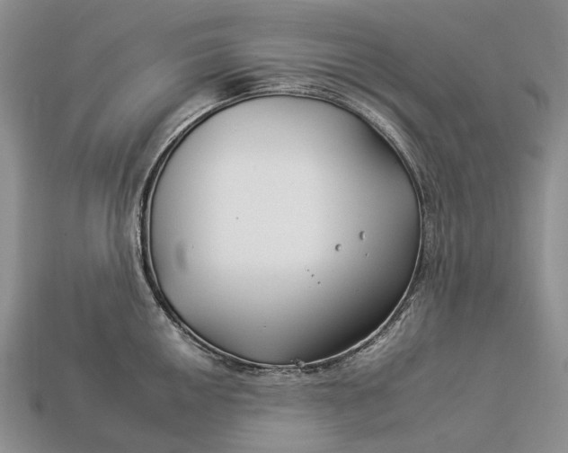 X0000112931050200909141330