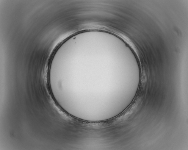 X0000112931053200909141330