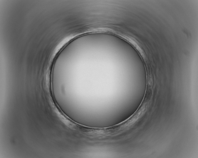 X0000112931054200909141330