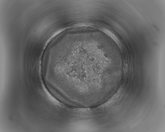 X0000112931055200909141330