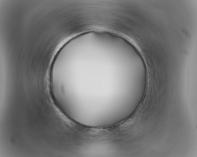 X0000112931056200909141330