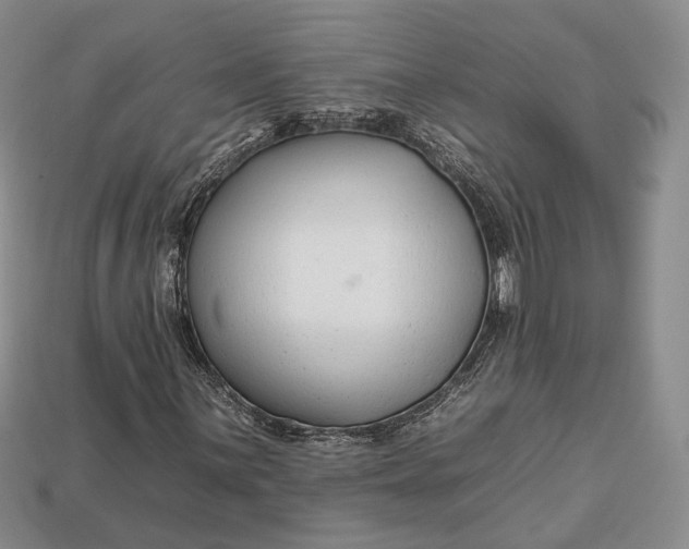 X0000112931059200909141329