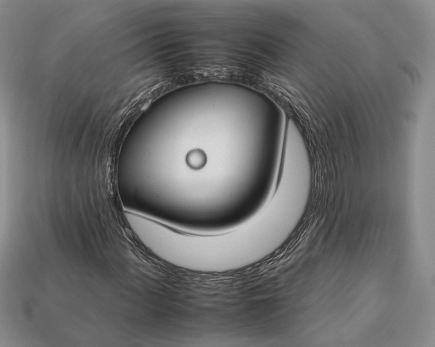 X0000112931060200909141329