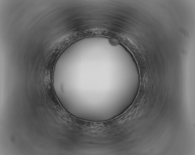 X0000112931062200909141329