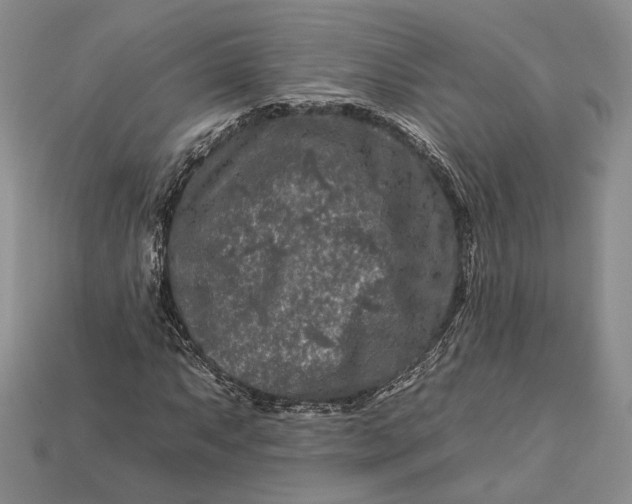 X0000112931063200909141329