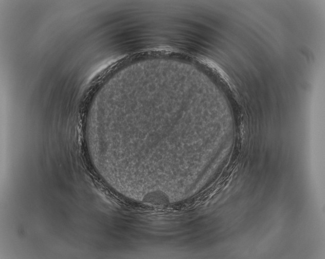 X0000112931064200909141329