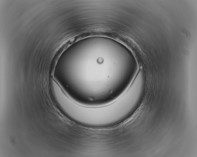 X0000112931065200909141329