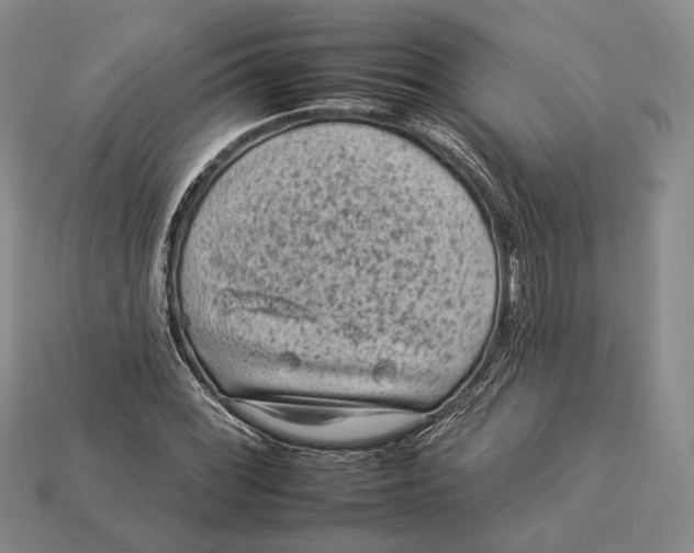 X0000112931068200909141329