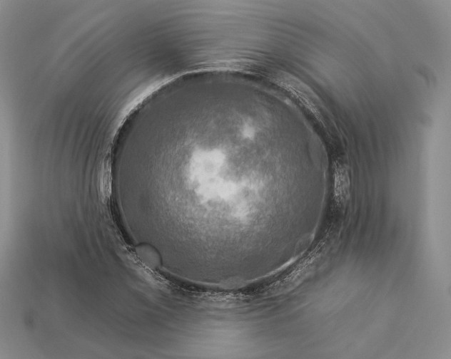 X0000112931069200909141329