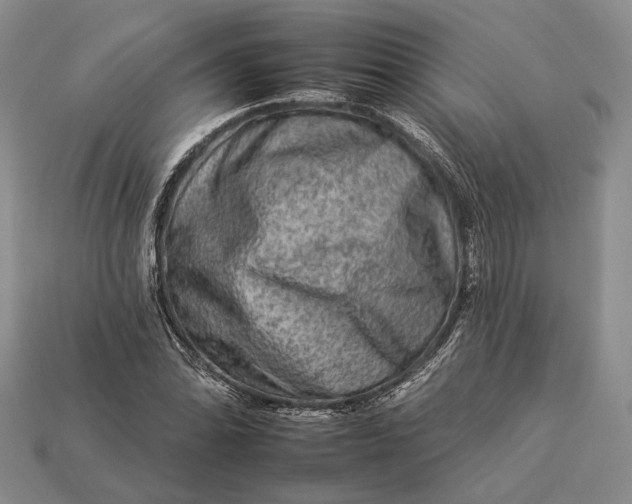 X0000112931070200909141329