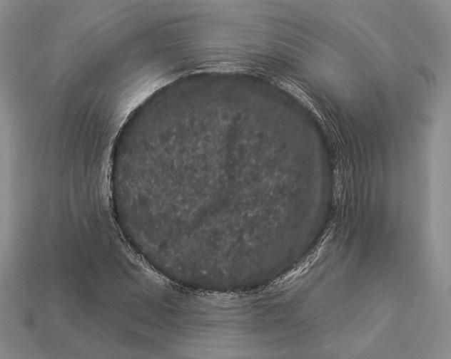 X0000112931071200909141329