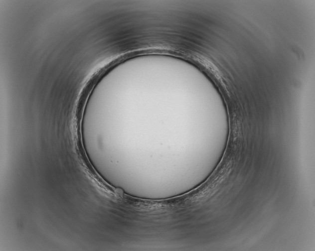 X0000112931072200909141329