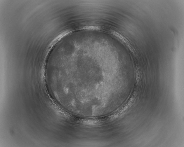 X0000112931074200909141329