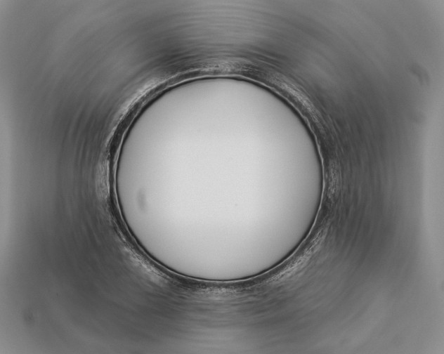 X0000112931075200909141329