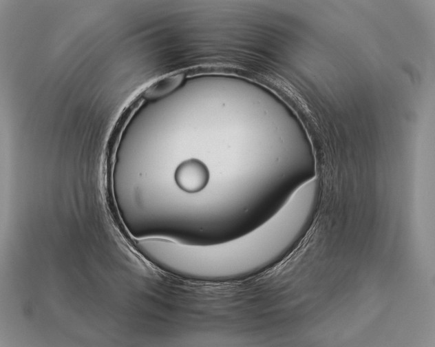 X0000112931076200909141329